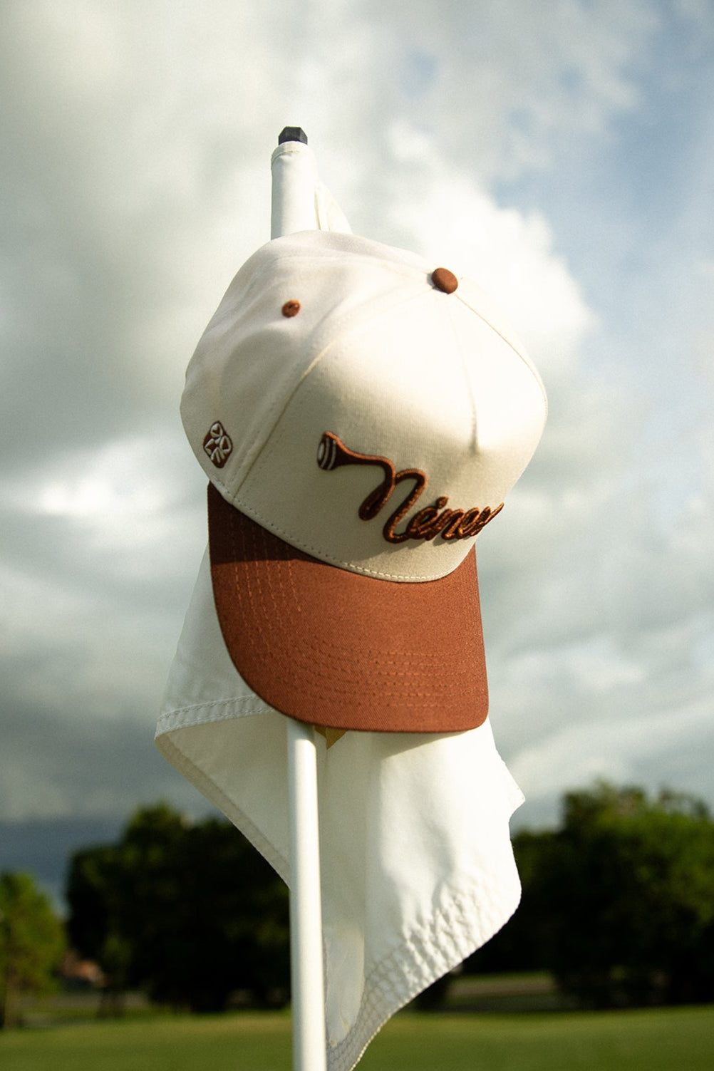 Tee'd Up Snapback - Brown